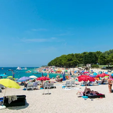 公寓 Zdravka G 普利莫顿